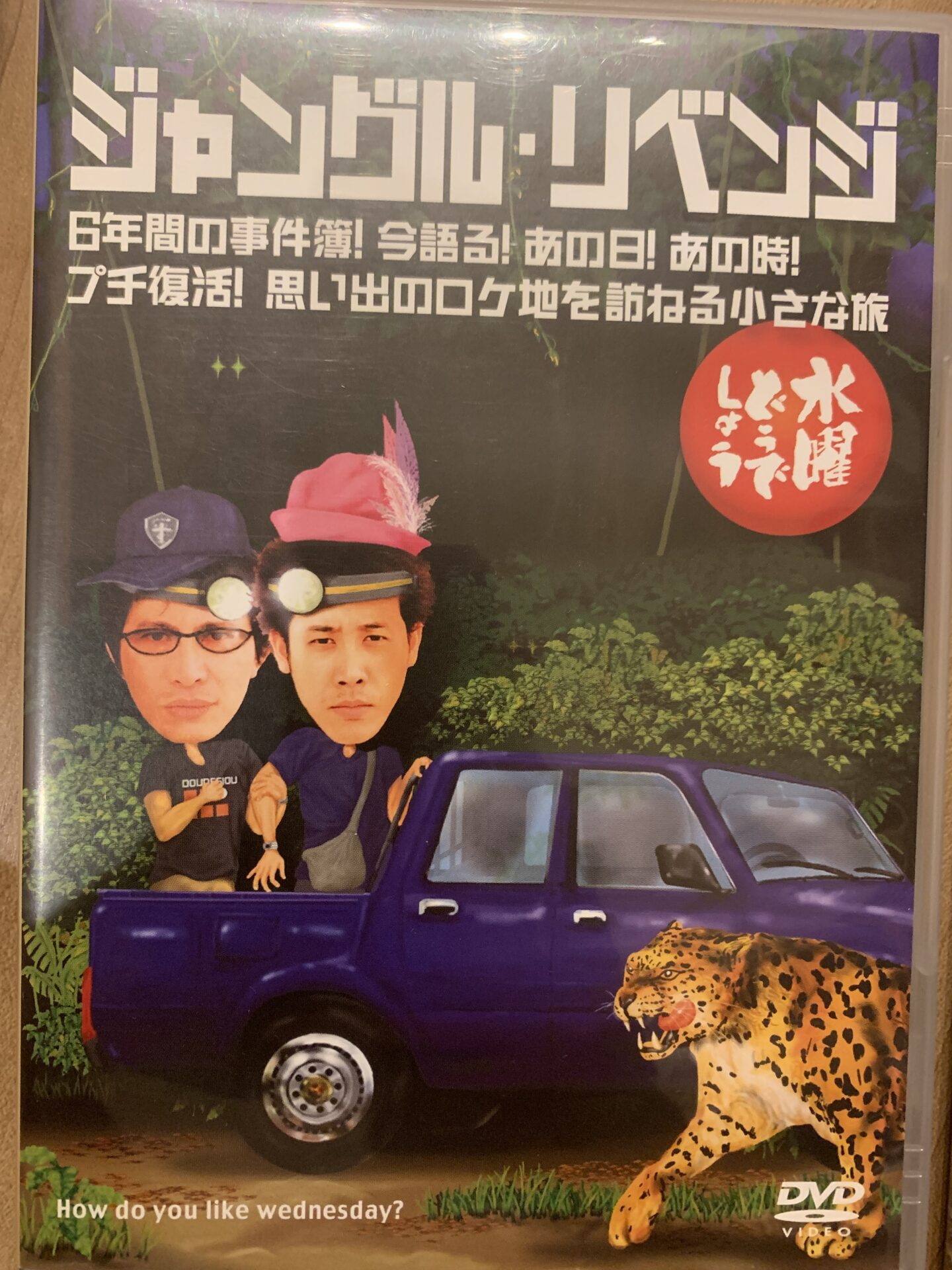 決定！！水曜どうでしょう入門編第2弾！！後編 ジャングル・リベンジ